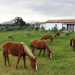 Agriturismo Mieleamaro Lantgård Olbia