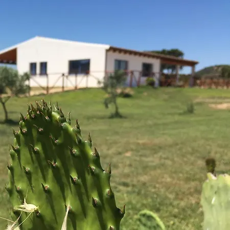 Agriturismo Mieleamaro Κατάλυμα σε φάρμα Όλμπια