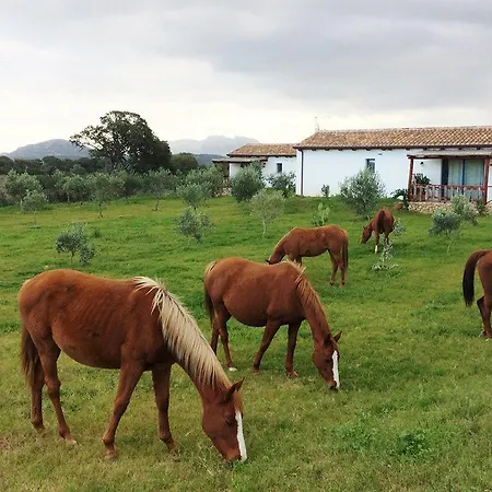 Agriturismo Mieleamaro Farm stay Olbia
