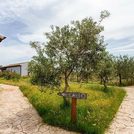 Agriturismo Mieleamaro Lantgård