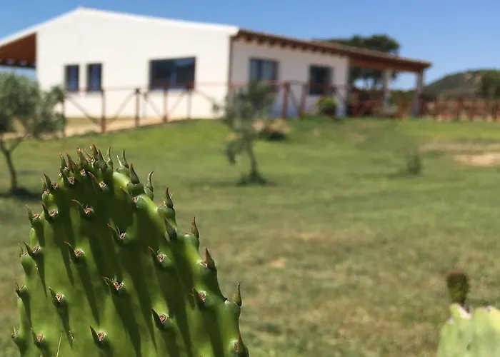 Agriturismo Mieleamaro Séjour à la ferme Olbia