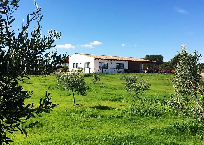 Agriturismo Mieleamaro Olbia